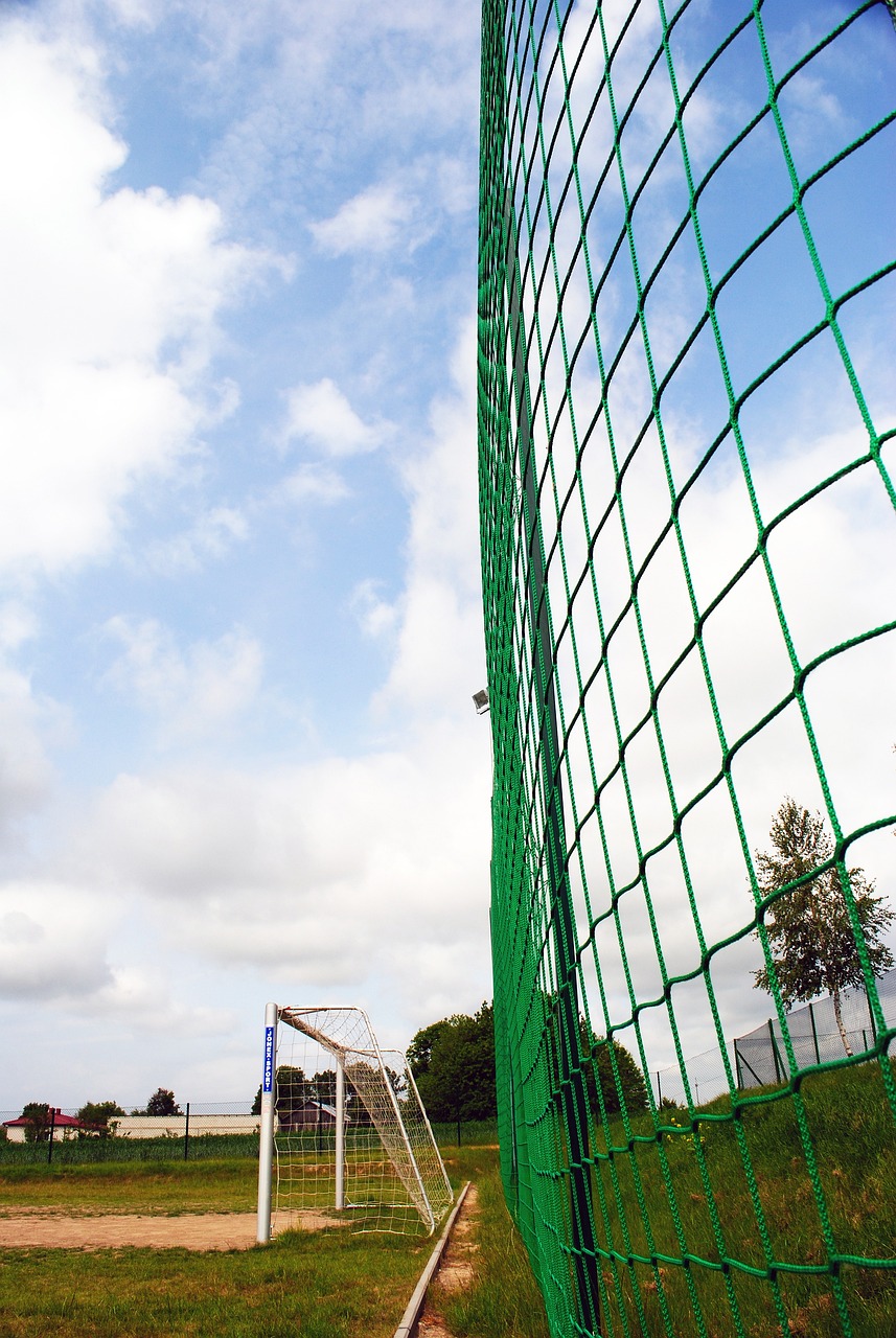 球联赛中 球联赛中