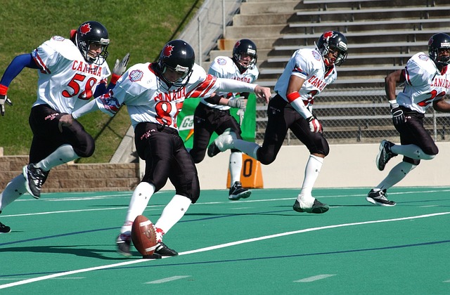 入的俱乐部 入的俱乐部