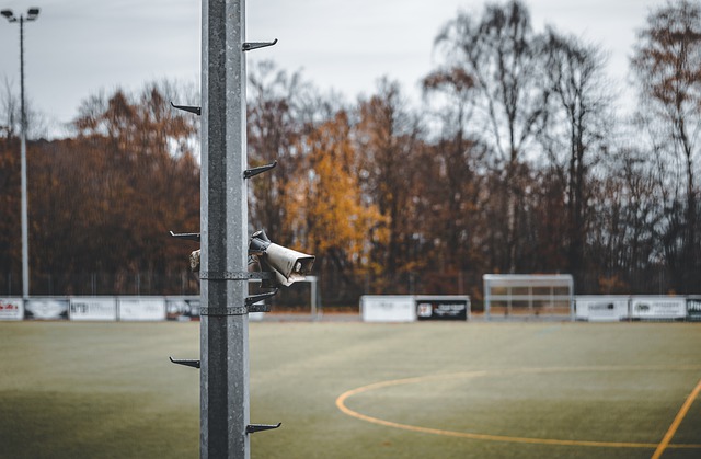 全球的体育 全球的体育