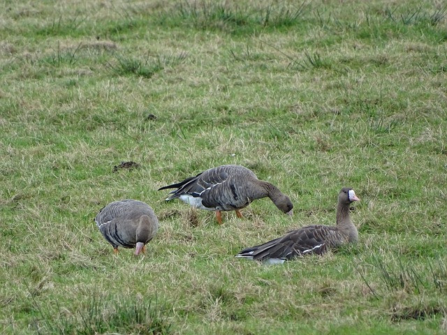 在学习中成 在学习中成