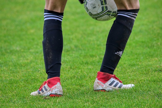 使他在奔跑 使他在奔跑