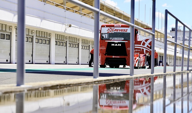 米蝶泳金牌 米蝶泳金牌