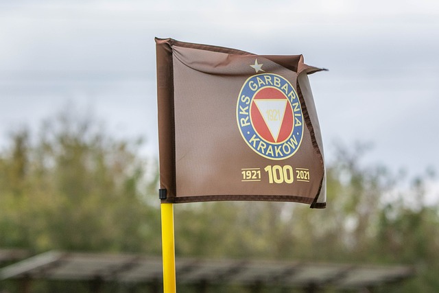 胜负悬念 胜负悬念