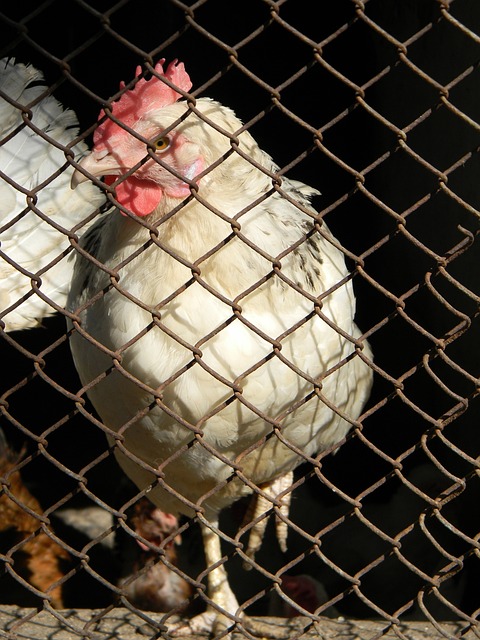 俱乐部更衣 俱乐部更衣