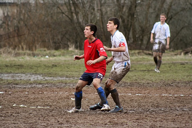 才逐渐恢复 才逐渐恢复