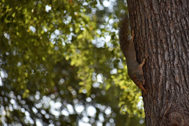 的國際舞臺 的國際舞臺