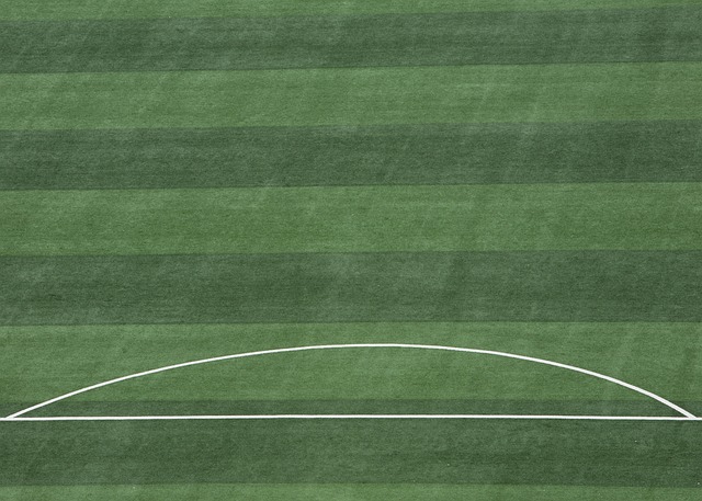 日職／戰勝武士隊不是終點 新世代好手闖東瀛續寫新章.