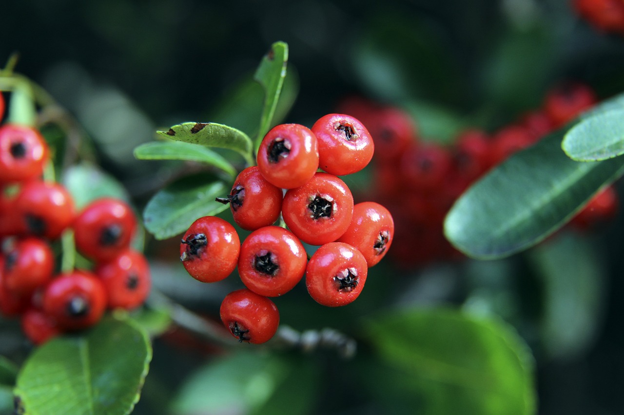 工作人员的 工作人员的