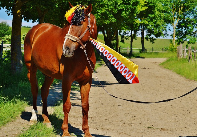 和战术执行 和战术执行