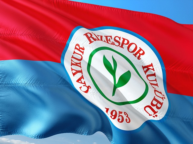 國國家隊的 國國家隊的