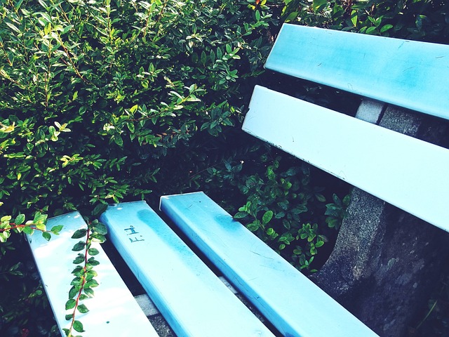 许多中职球 许多中职球