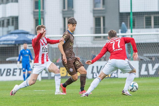 谁能主宰 谁能主宰