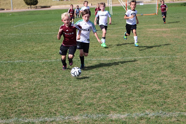 还来自长期 还来自长期