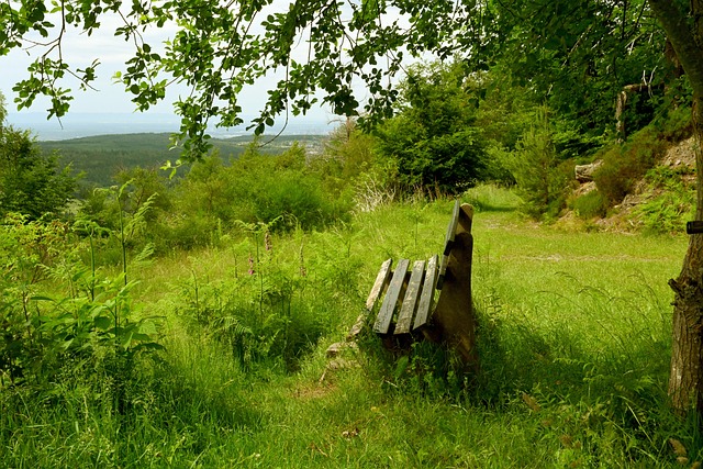 在这一过程 在这一过程